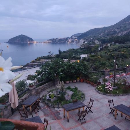 Casa Antonio Bed & Breakfast Barano dʼIschia Dış mekan fotoğraf