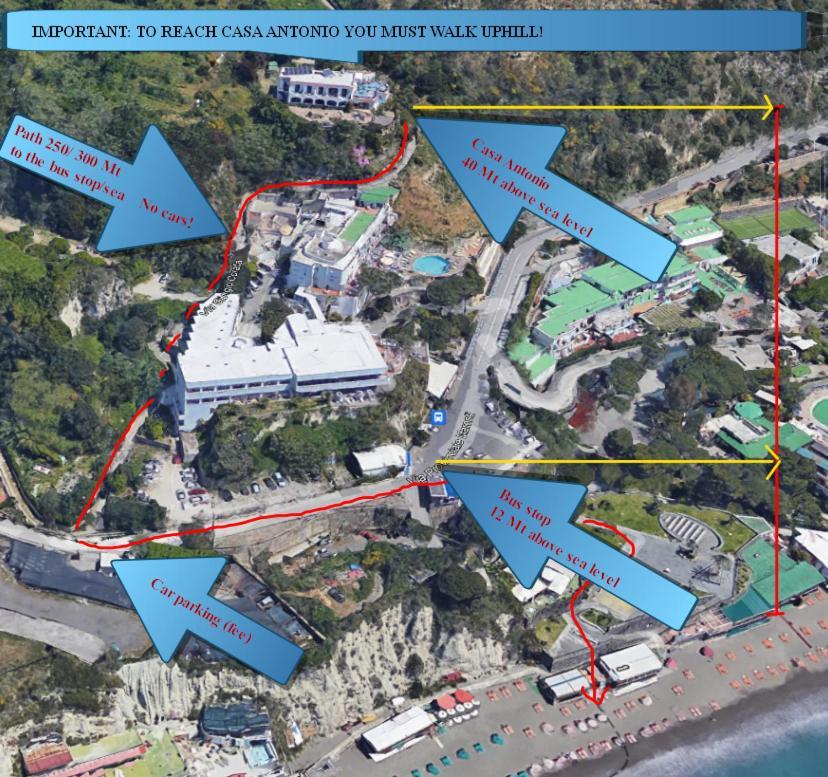 Casa Antonio Bed & Breakfast Barano dʼIschia Dış mekan fotoğraf