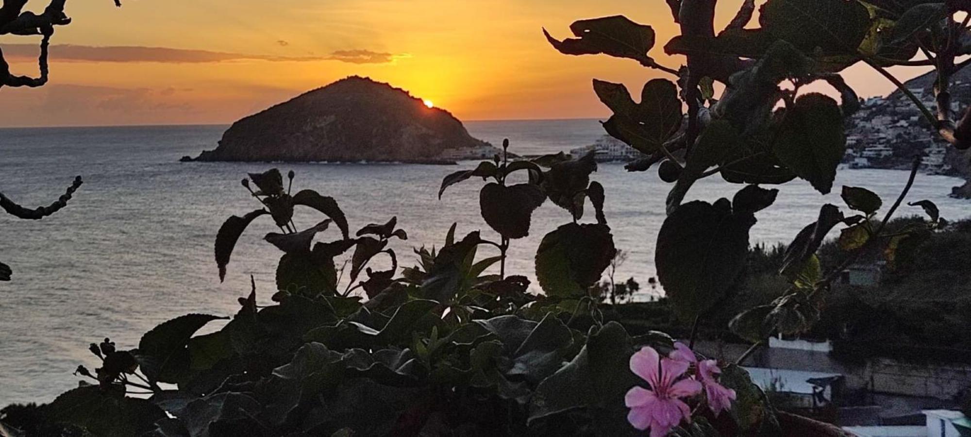 Casa Antonio Bed & Breakfast Barano dʼIschia Dış mekan fotoğraf