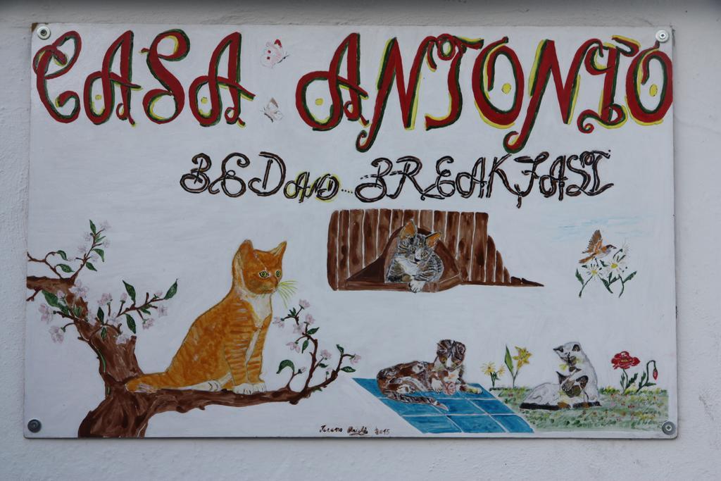 Casa Antonio Bed & Breakfast Barano dʼIschia Dış mekan fotoğraf