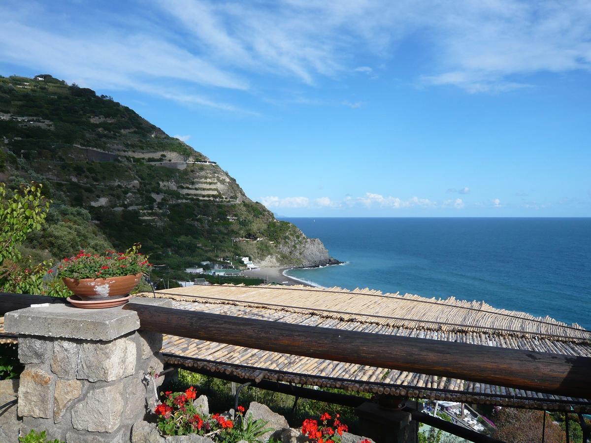 Casa Antonio Bed & Breakfast Barano dʼIschia Dış mekan fotoğraf