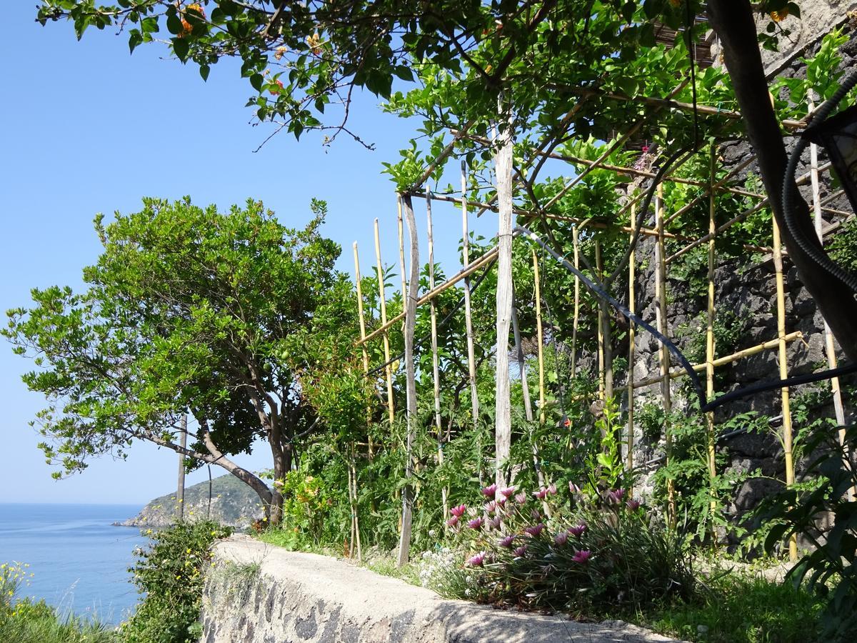 Casa Antonio Bed & Breakfast Barano dʼIschia Dış mekan fotoğraf