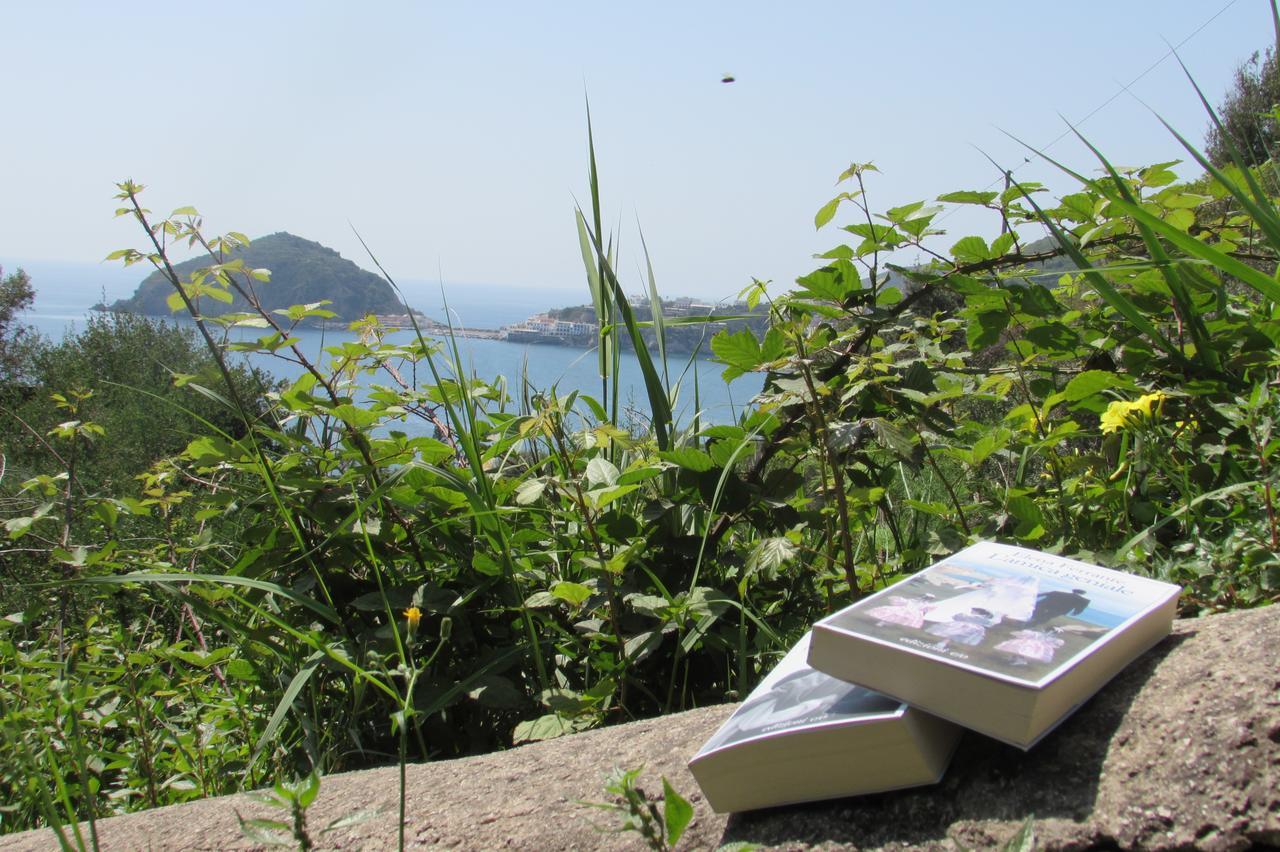 Casa Antonio Bed & Breakfast Barano dʼIschia Dış mekan fotoğraf
